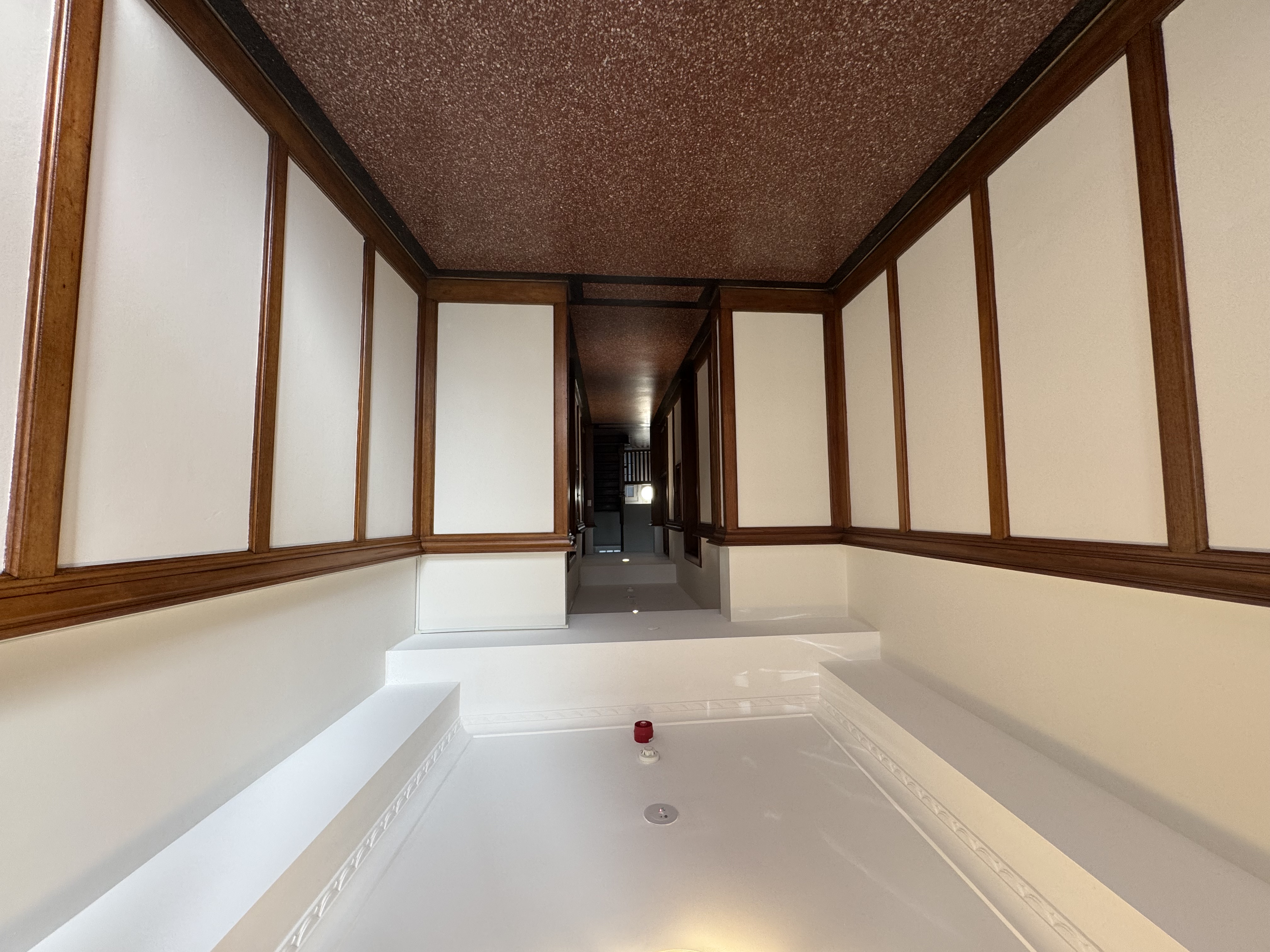 Waruda St Kirribilli - IMG_3227.jpeg